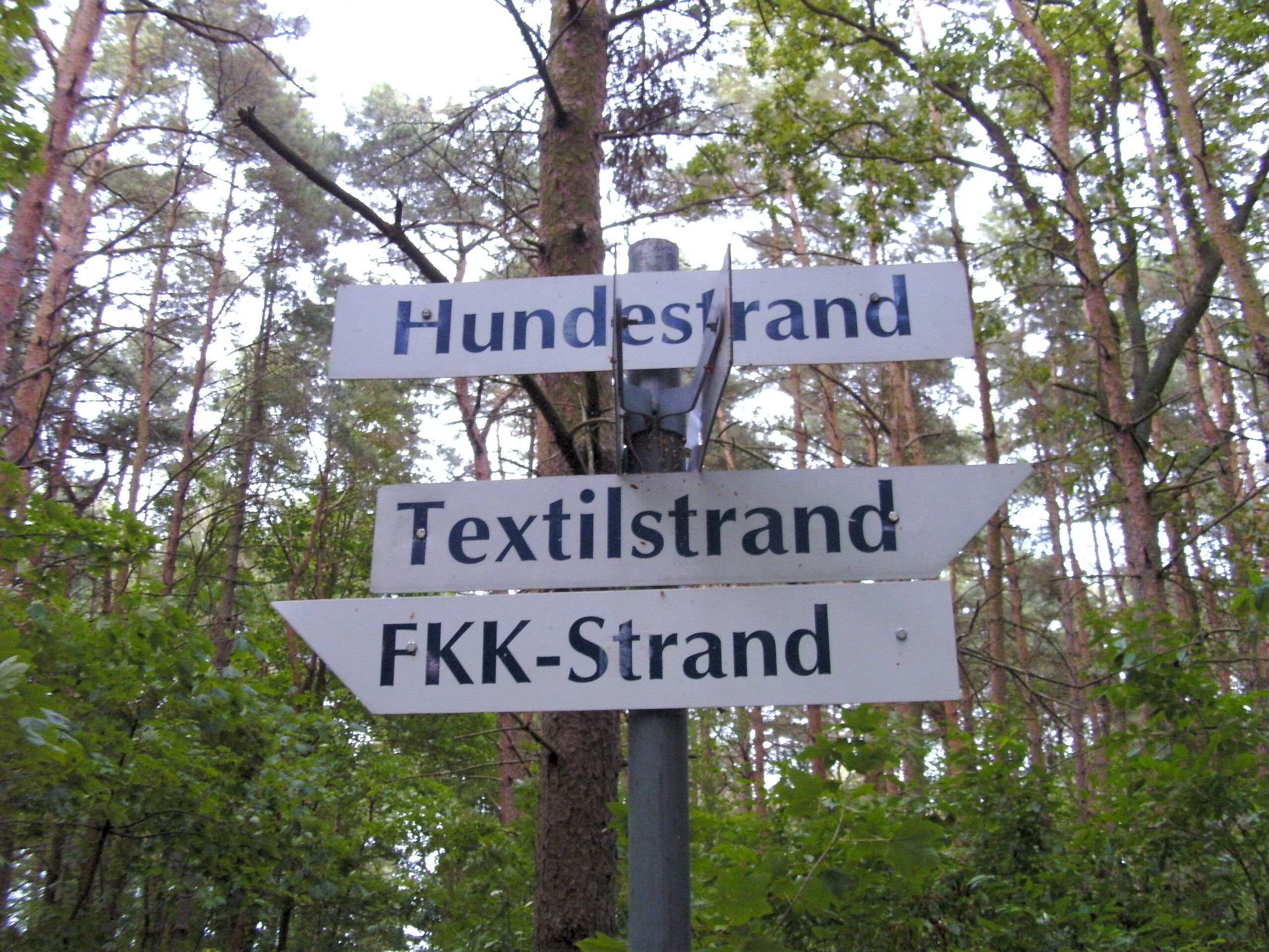 Joachim Schürmann, aufgenommen im Süden von Rügen, Fahrradweg entlang des östlichen Strandes im Mönchgut zwischen Lobbe und Ostseebad Thiessow.