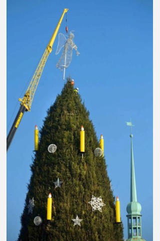 Der Engel wird auf der Spitze des Dortmunder Weihnachtsbaums angebracht. Riesentanne Weihnachtsmarkt.Foto: Knut Vahlensieck