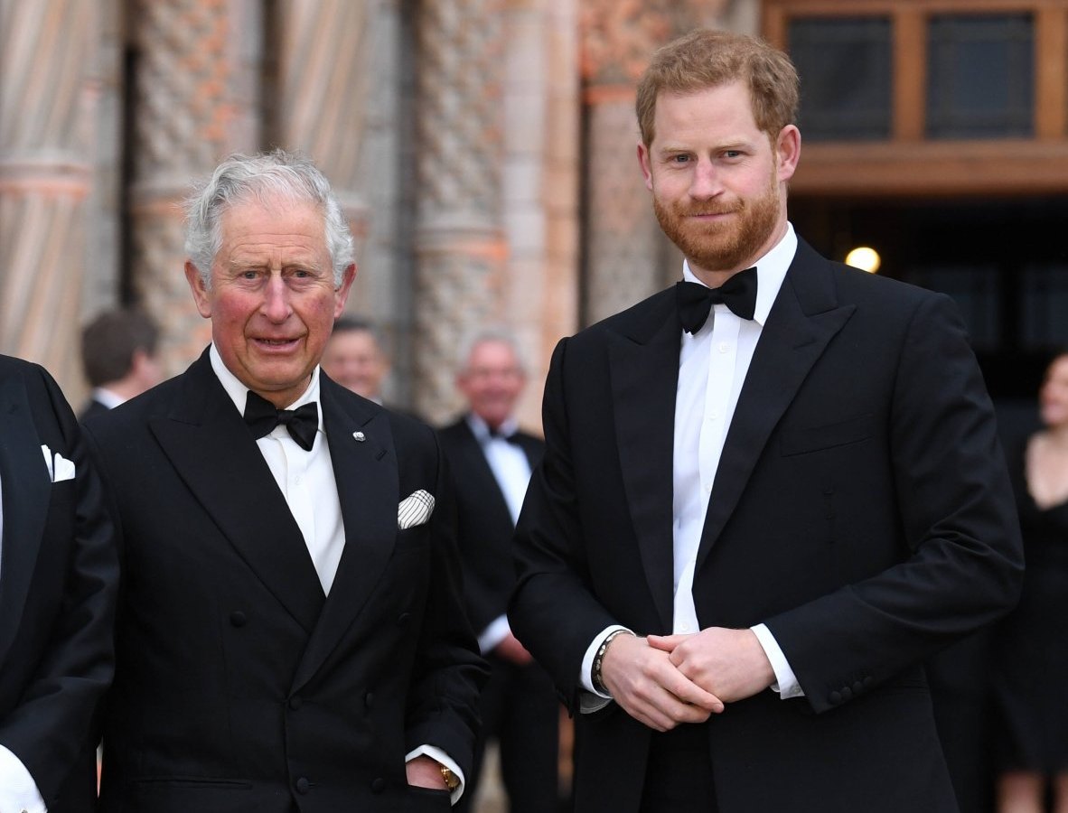 prinz charles und prinz harry.jpg