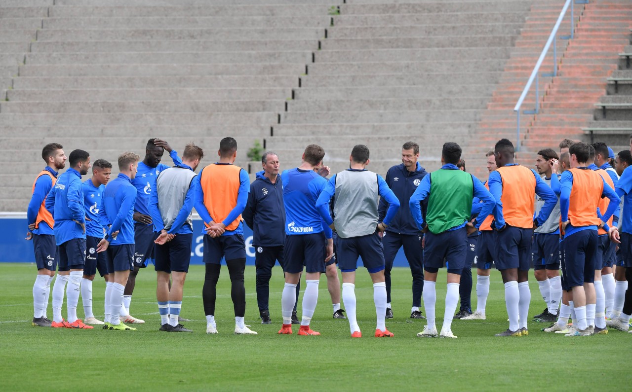 Schalke bereitete sich diese Woche intensiv auf das Derby vor.