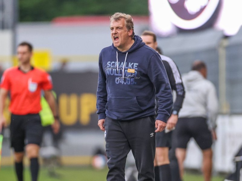 schalke-büskens