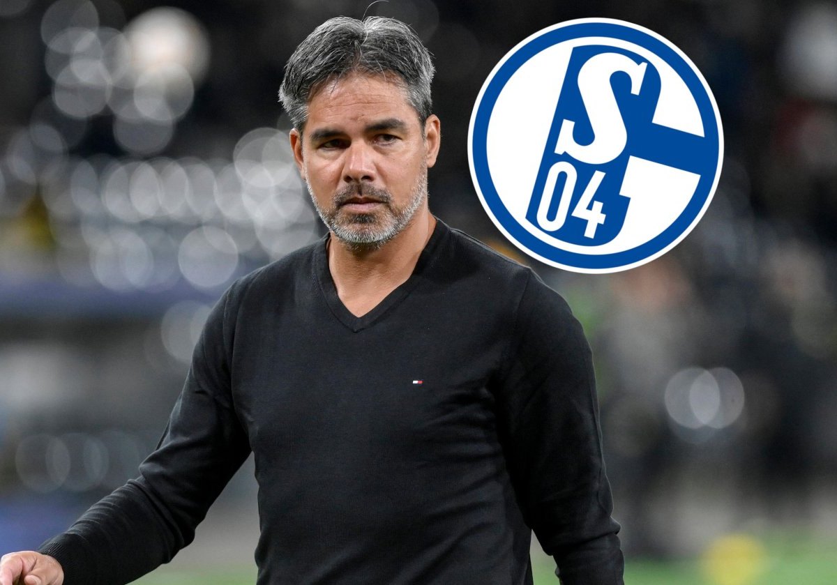 schalke-david-wagner