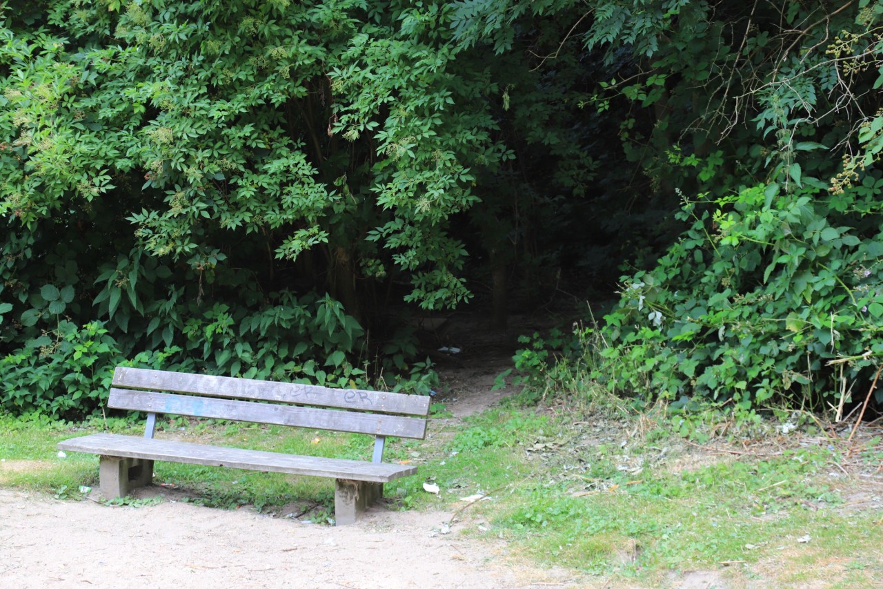 Die Jugendlichen sollen die Frau in Mülheim ins Gebüsch gelockt und dann missbraucht haben.