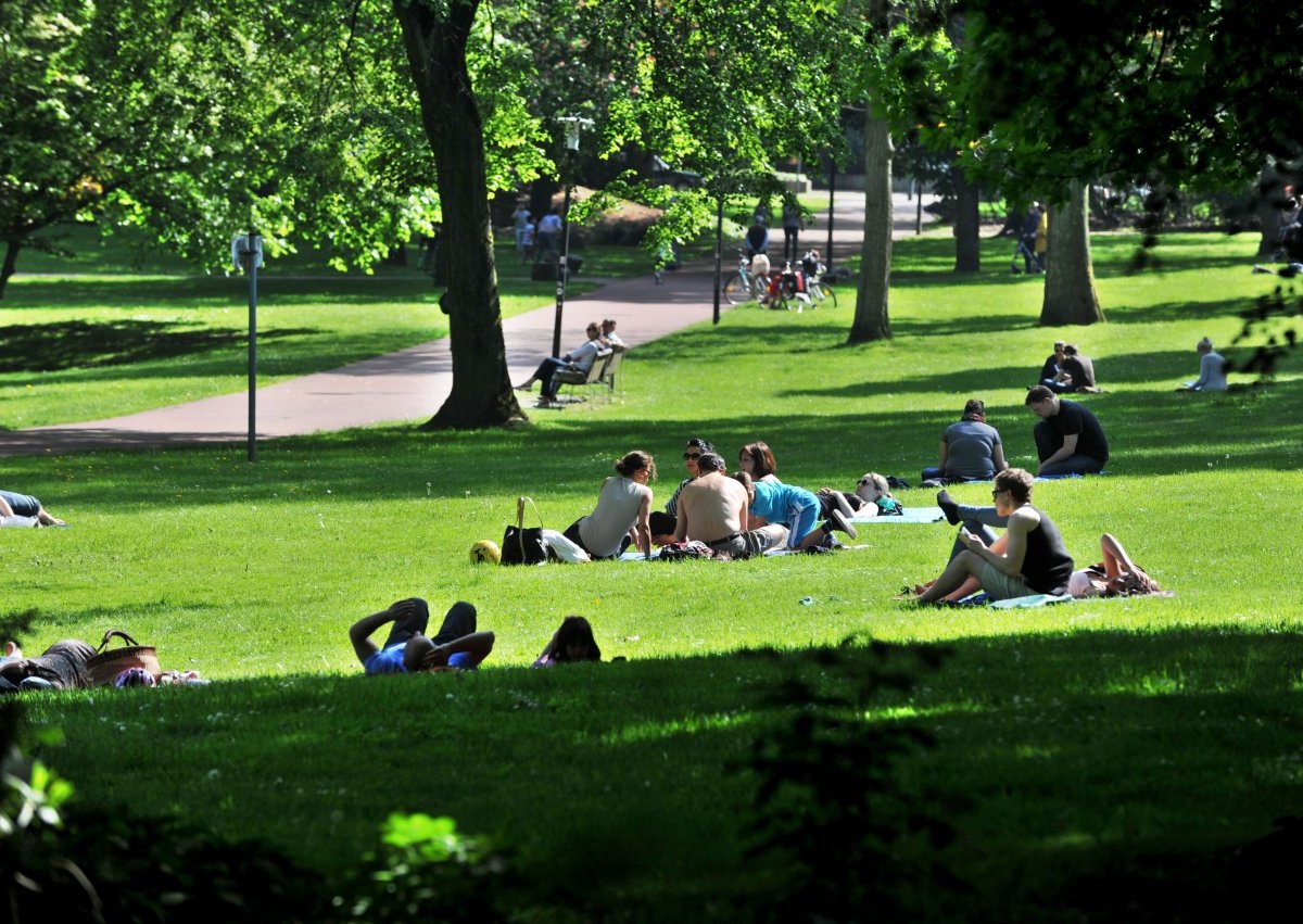 stadtgarten-essen2.jpg