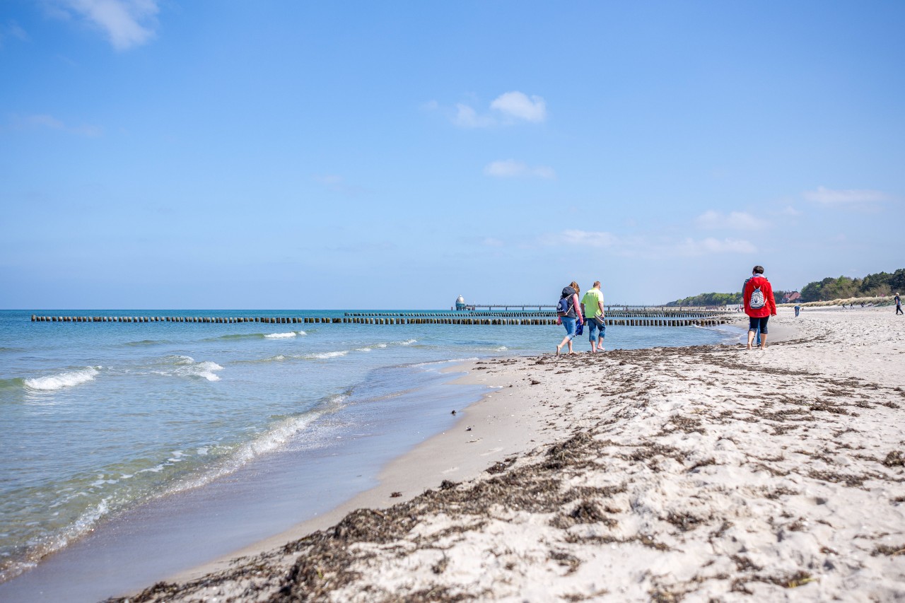 Urlaub an der Ostsee: So haben sich vier Urlauber ihren Aufenthalt in Zingst definitv nicht vorgestellt.