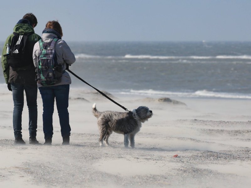 urlaub nordsee.jpg