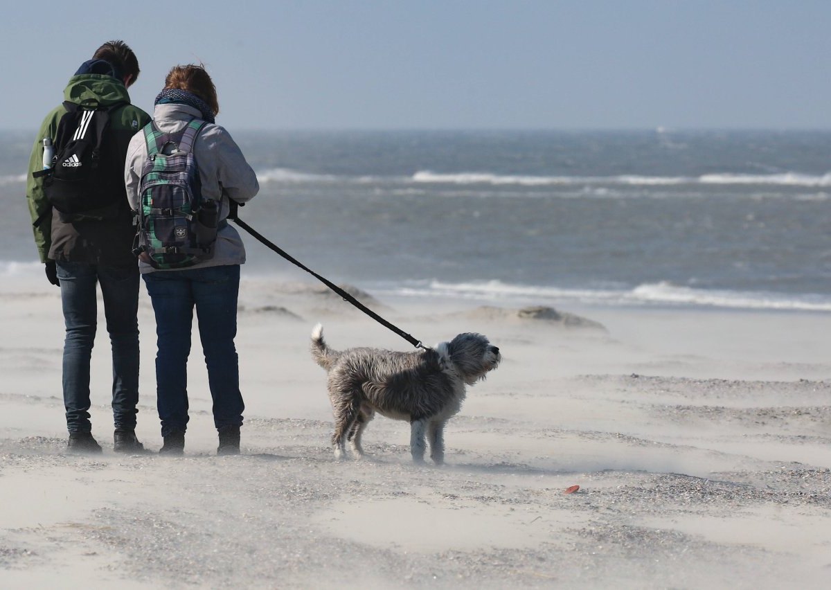 urlaub nordsee.jpg