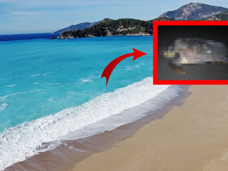 urlaub türkeijpg