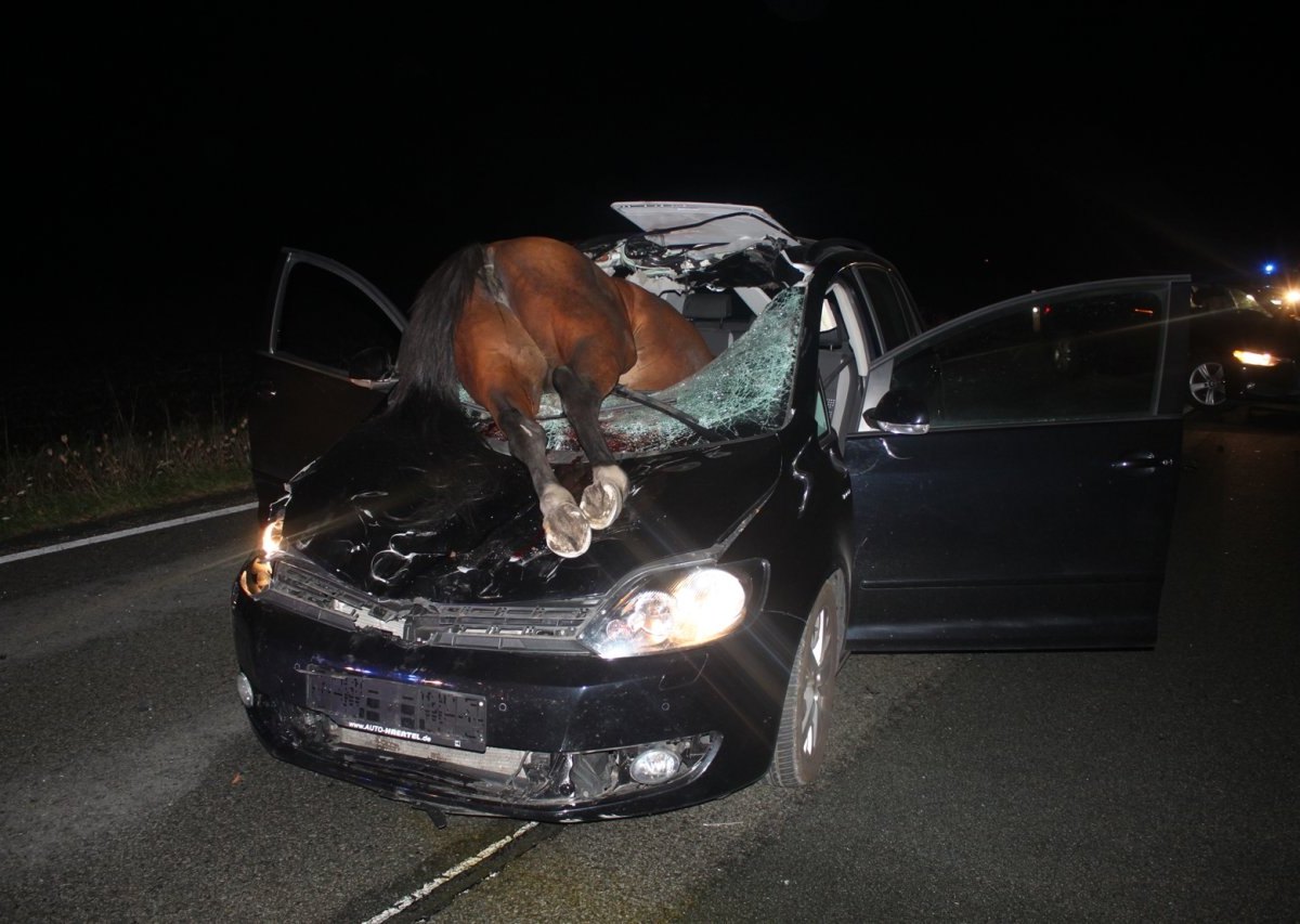 versmold-Pferd-Unfall.jpg