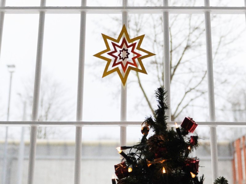 weihnachtsamnestie.jpg