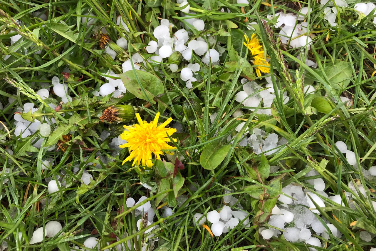 Wetter in NRW: Hagel und Starkregen sind weiterhin möglich. 