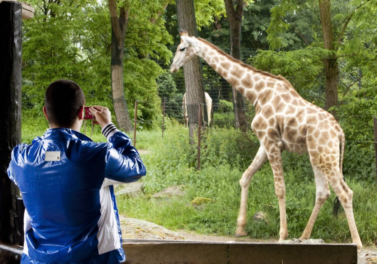 zoo dortmund geschlossen.jpg