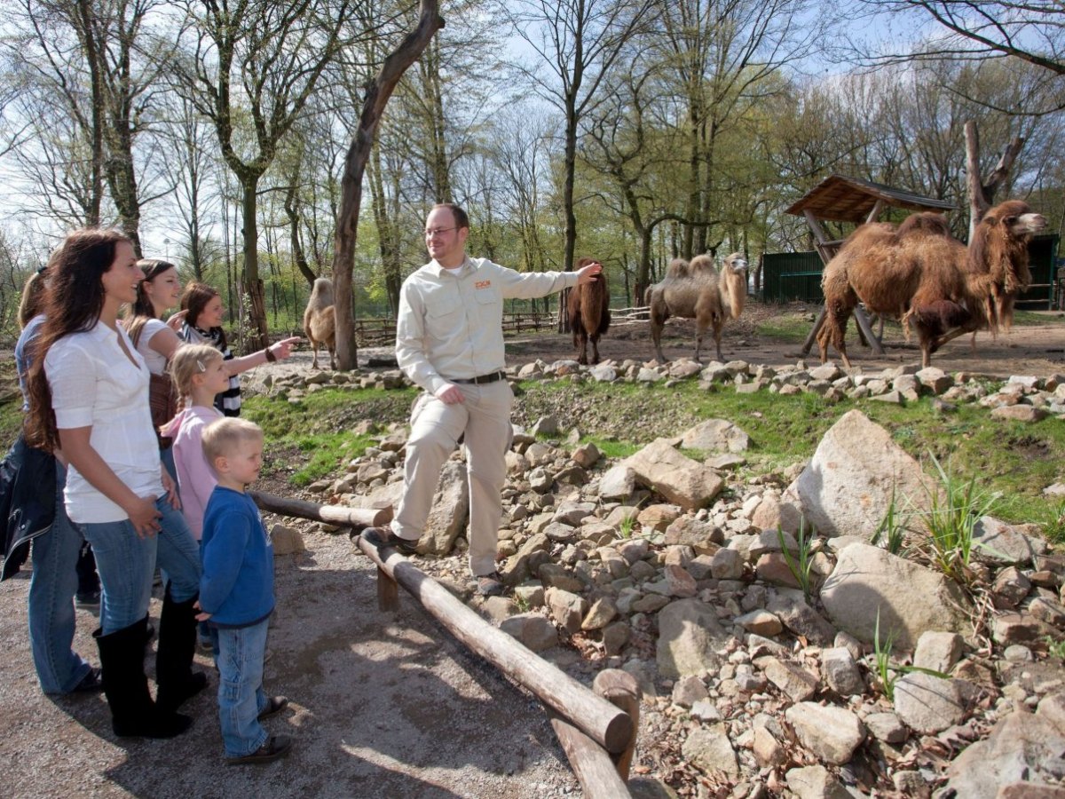 zoom erlebniswelt führung.jpg