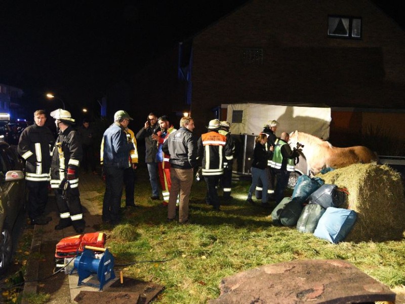 Einsatz auf einem Gnadenhof in Wattenscheid: drei Ziegen und ein Pony starben hier. 