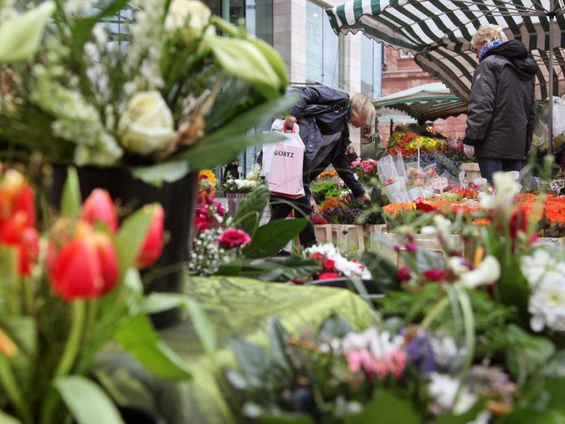 Die Sommerpflanzen sollten unbedingt vorm Frost geschützt werden“, sagt Mechthild Wember, „am besten in einem Wintergarten oder Gewächshaus.“ Sommerpflanzen können ab Mitte Mai draußen gepflanzt werden.