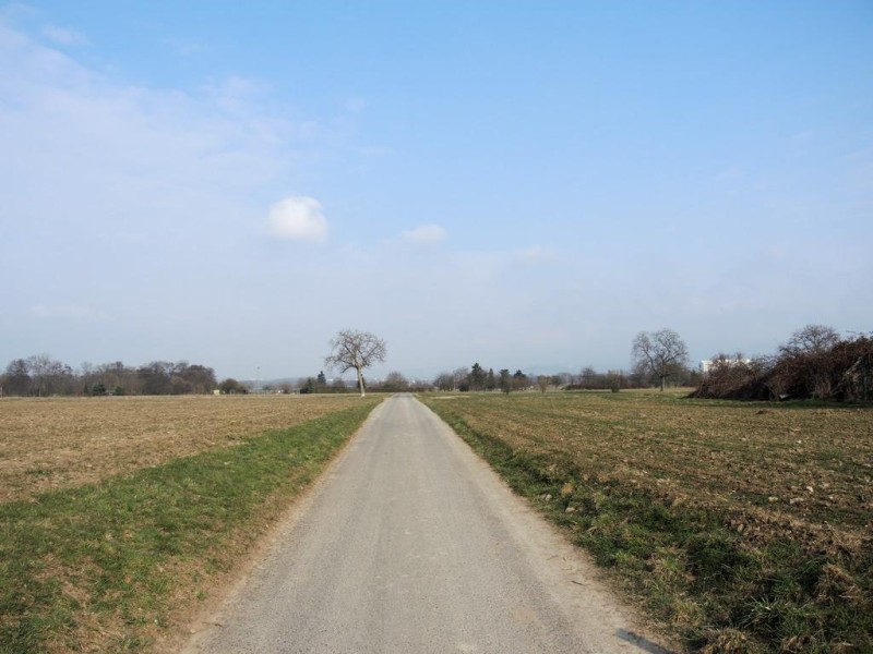 Mehr Glück mit dem Wetter hatte Bach beim zweiten Versuch. Auch, wenn es noch mehrere Wochen ziemlich kalt blieb.