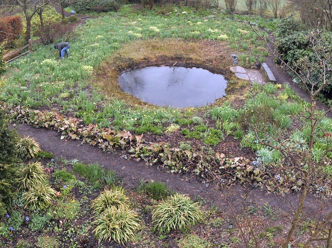 Rund 10000 Narzissen stehen im Garten von Manfred Lucenz und Klaus Bender.