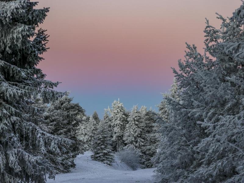 Am Fichtelberg wird die diesjährige Skisaison eingeläutet - unter 2G-Bedingungen.