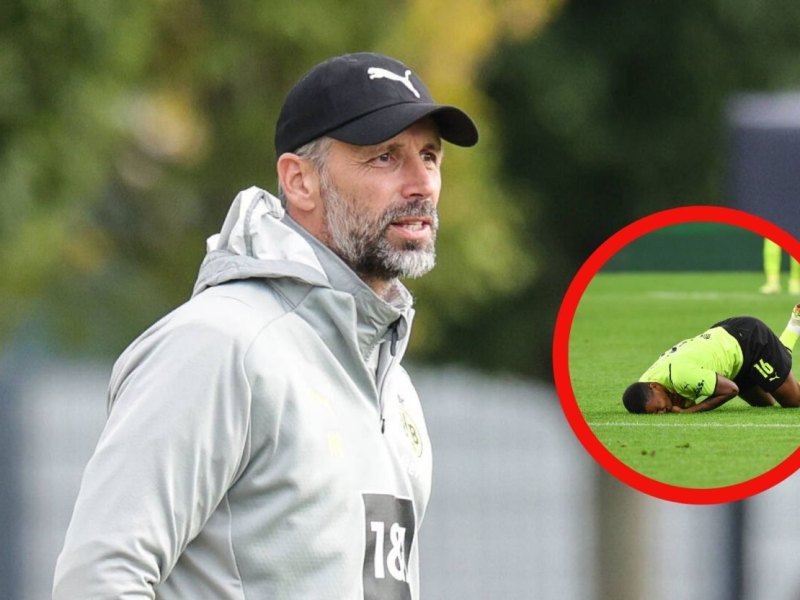 BVB.jpg