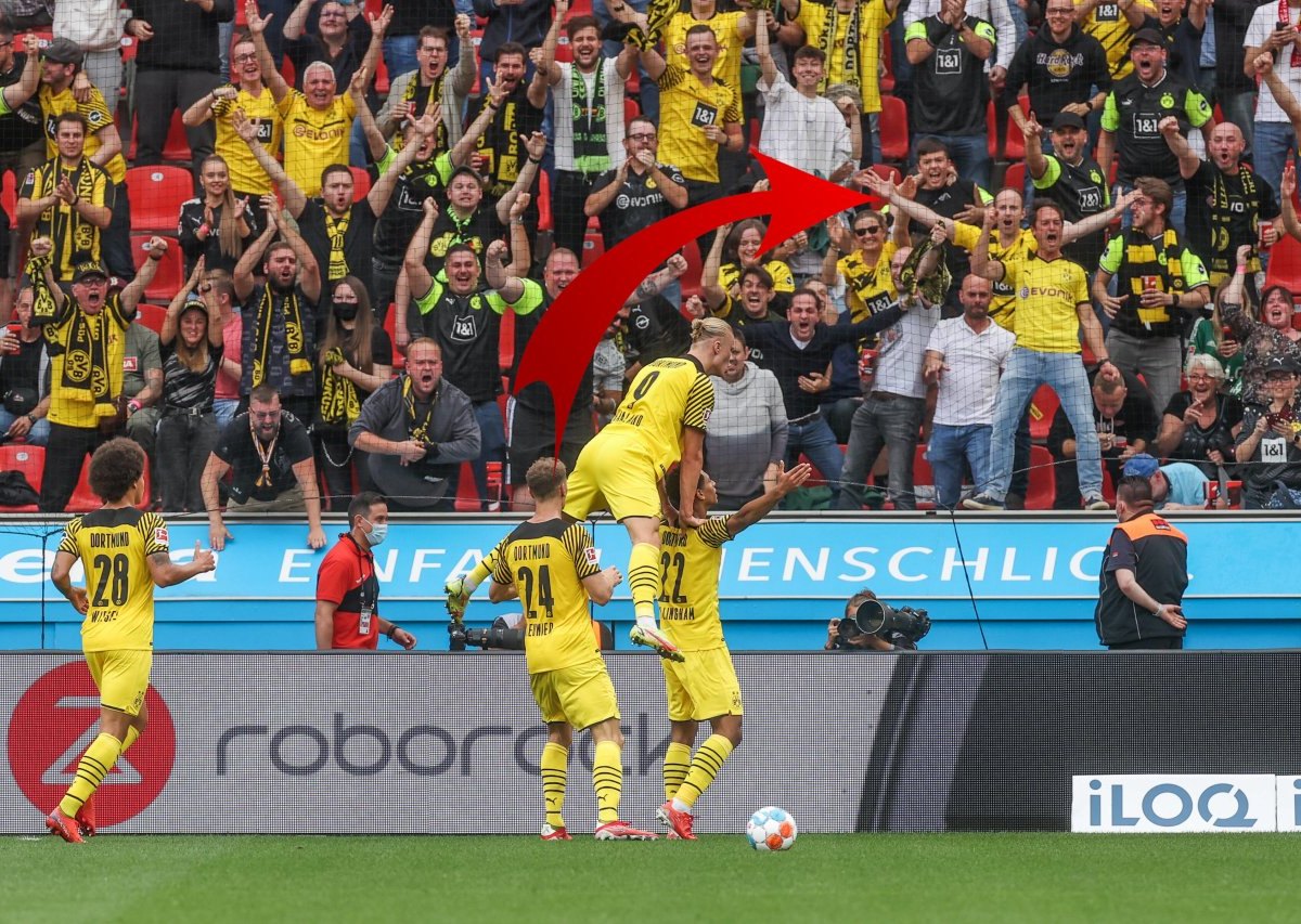 BVB-Fanaktion.jpg