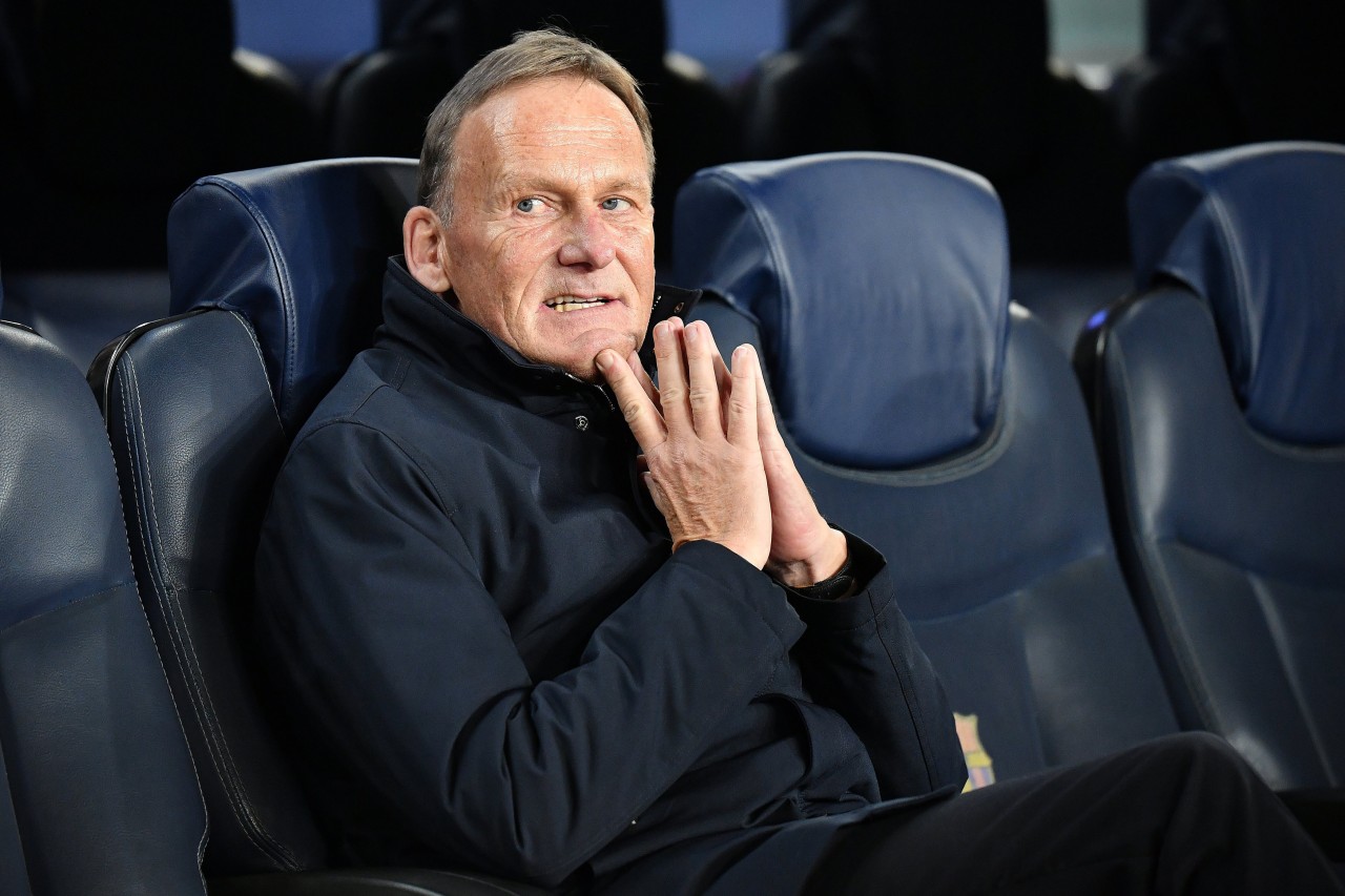 Borussia Dortmunds Geschäftsführer Hans-Joachim Watzke hat die Super League stets abgelehnt.