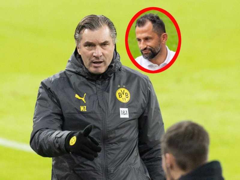 BVB-Zorc-Salihamidzic.jpg