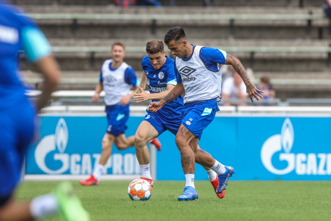 FC Schalke 04: Bittere Nachrichten für die Knappen.