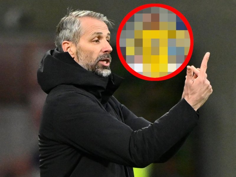 Borussia-Dortmund-Malen