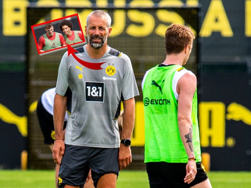 Borussia Dortmund Rose.jpg
