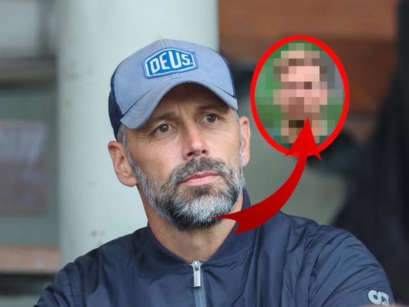 Borussia Dortmund Rose.jpg