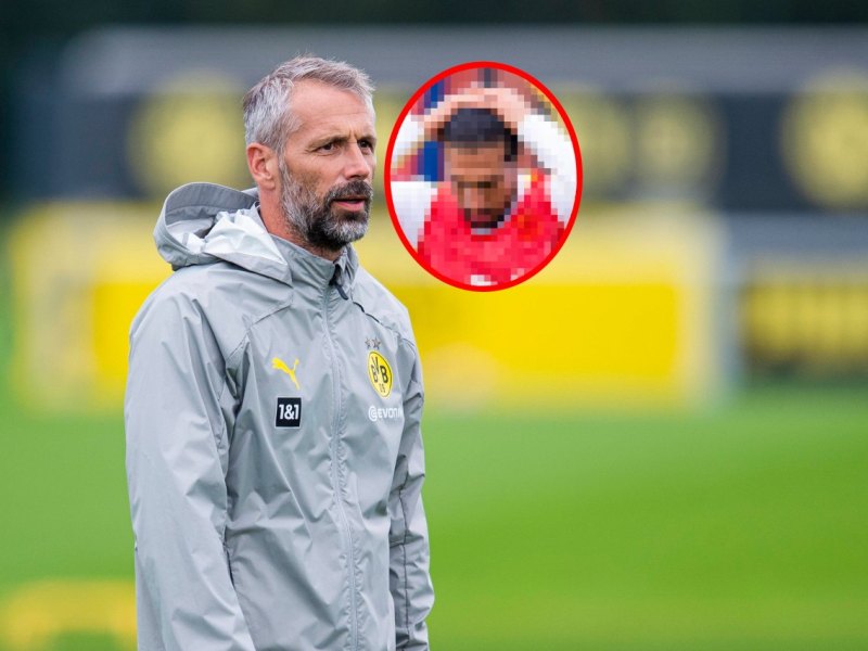 Borussia Dortmund Rose.jpg