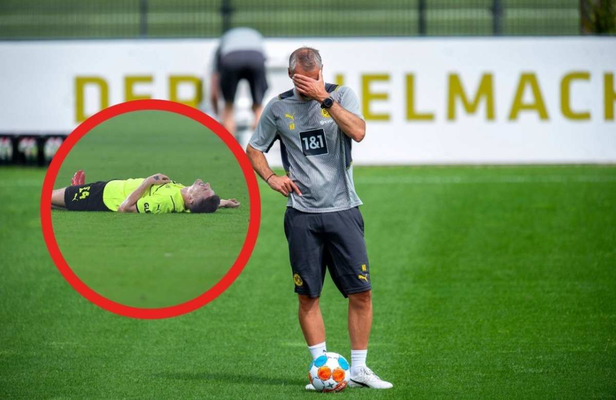 Bvb Meunier.jpg