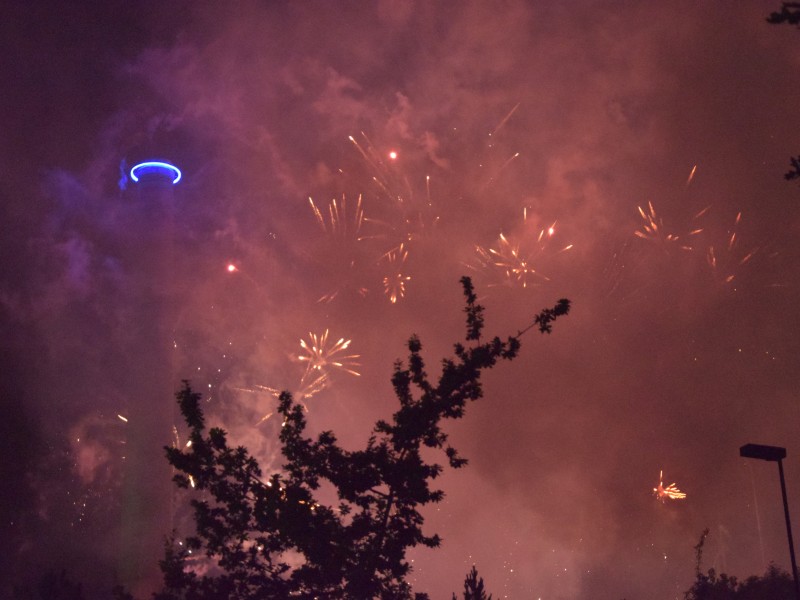 Im Landschaftspark nieselte es beim Feuerwerk.