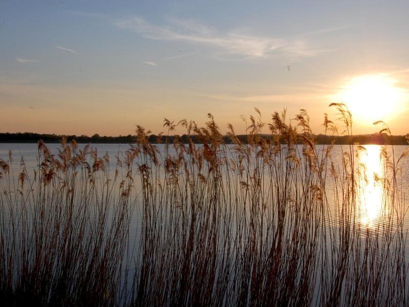 Der Erlebnishof Wübbold liegt beim Alfsee in Niedersachsen.