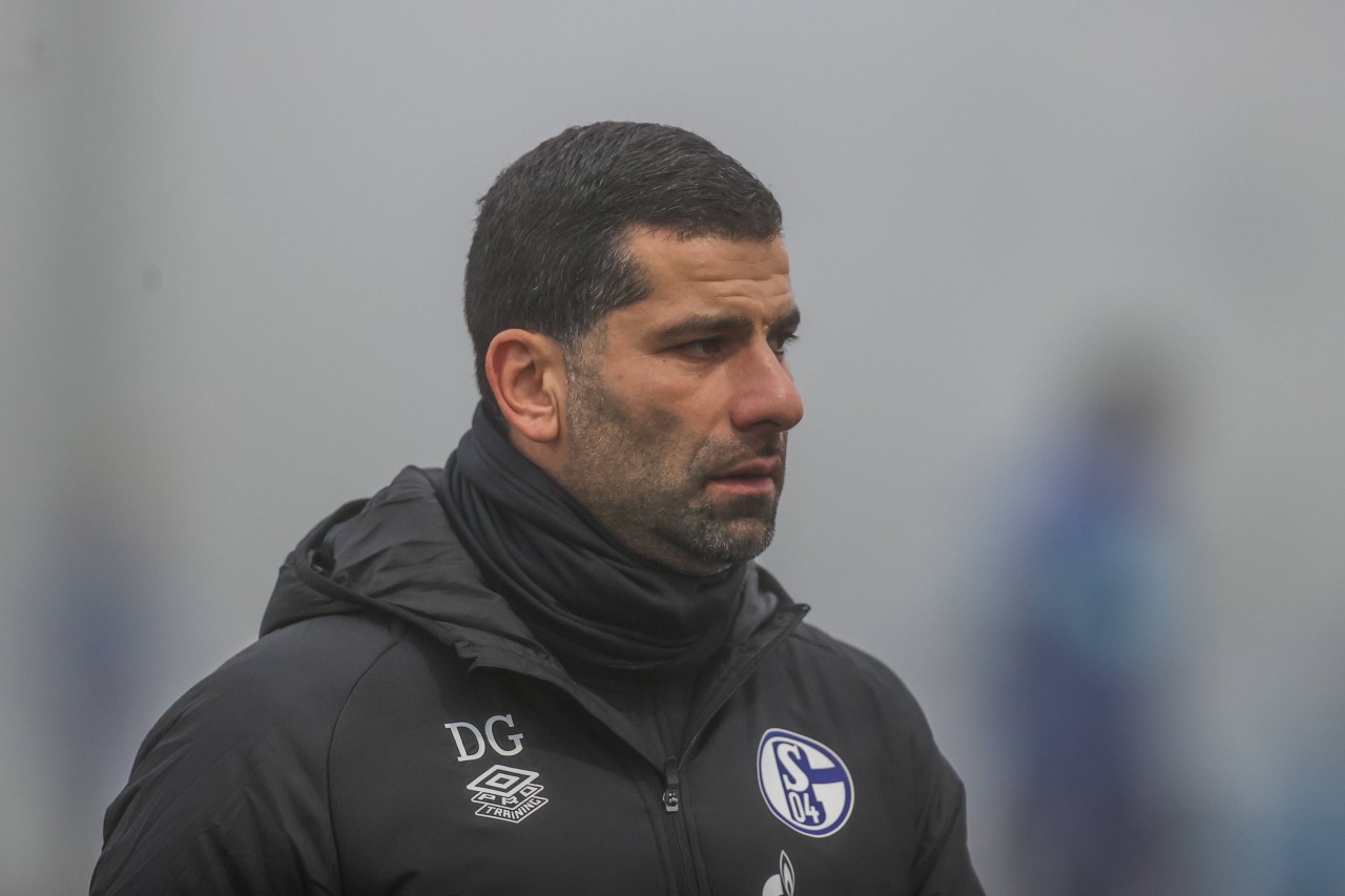 Beim FC Schalke 04 hat der Sieg den Stuhl von Trainer Dimitrios Grammozis etwas gefestigt.