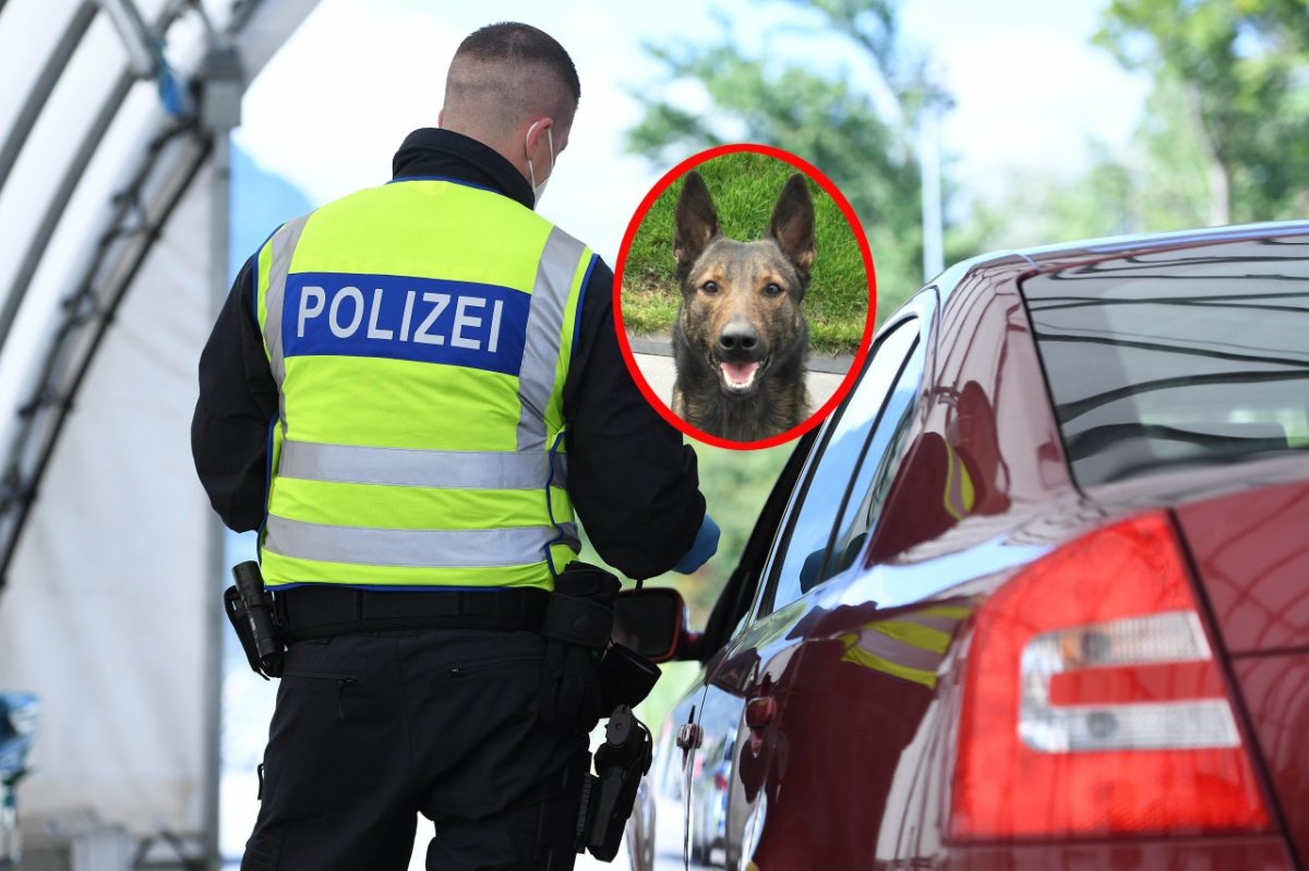 Dortmund-Spürhund.jpg