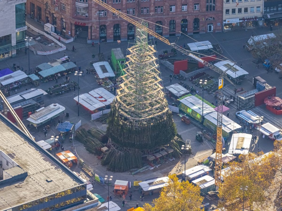 Dortmund Weihnachtsbaum.jpg