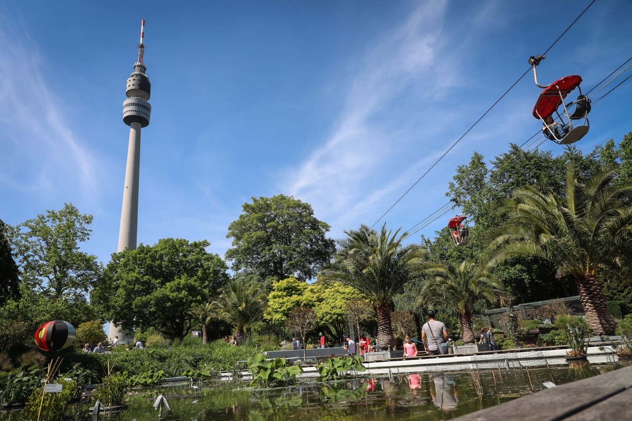 Dortmund: Eine beliebte Attraktion verlässt den Westfalenpark.