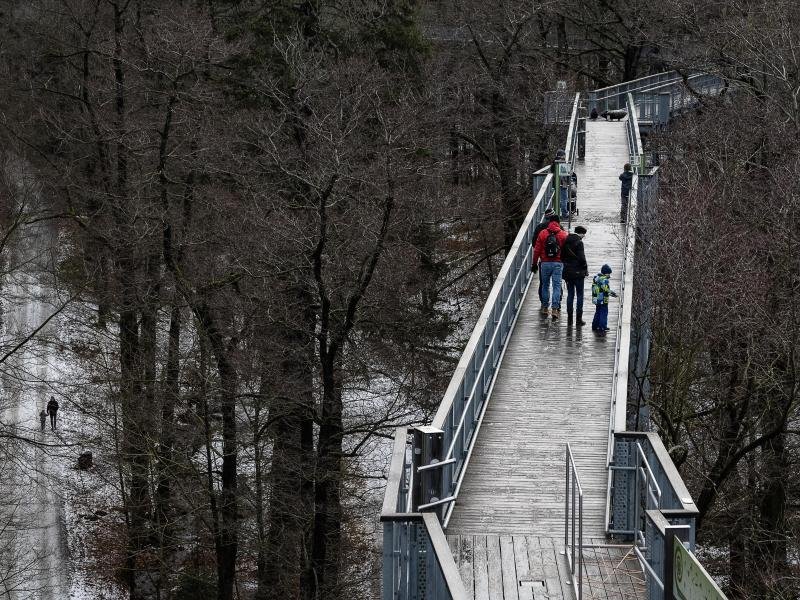 Erfolgsprojekt: Besucher haben den Baumwipfelpfad angenommen.