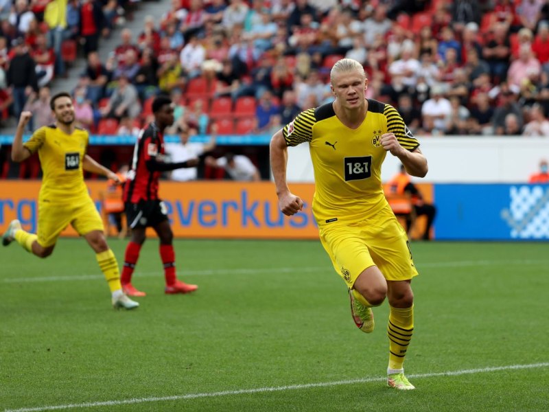 Erling Haaland