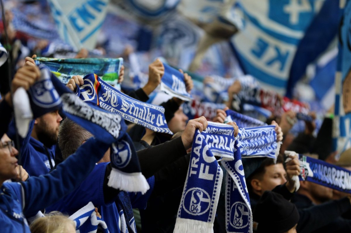 FC Schalke 04.jpg