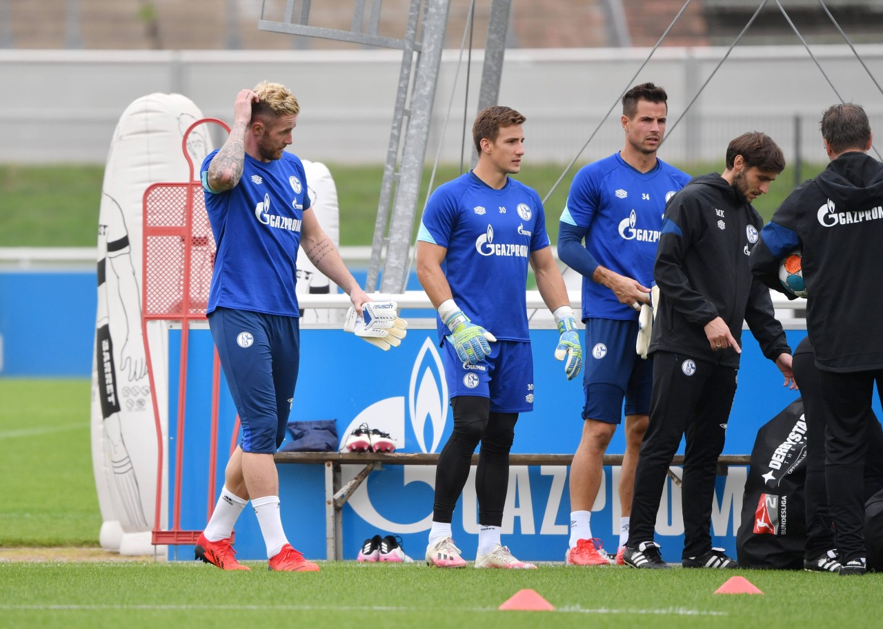 Ralf Fährmann (l.) Martin Fraisl (m.) und Michael Langer (r.) sind die Torhüter des FC Schalke 04.