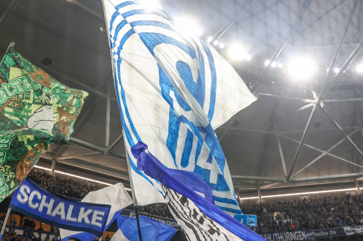 FC Schalke 04.jpg