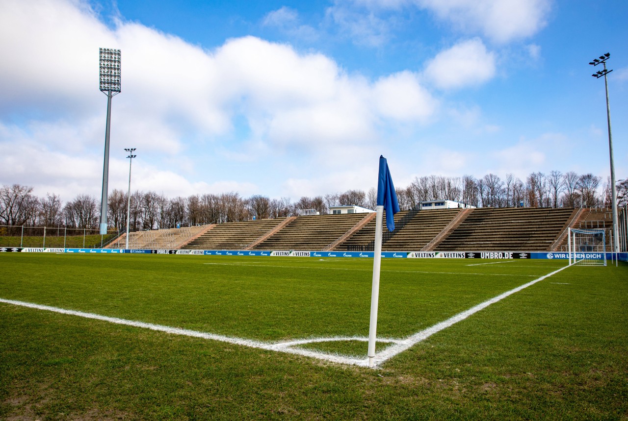 Am Mittwoch (23. Juni) empfängt der FC Schalke 04 den PSV Wesel-Lackhausen im Parkstadion.