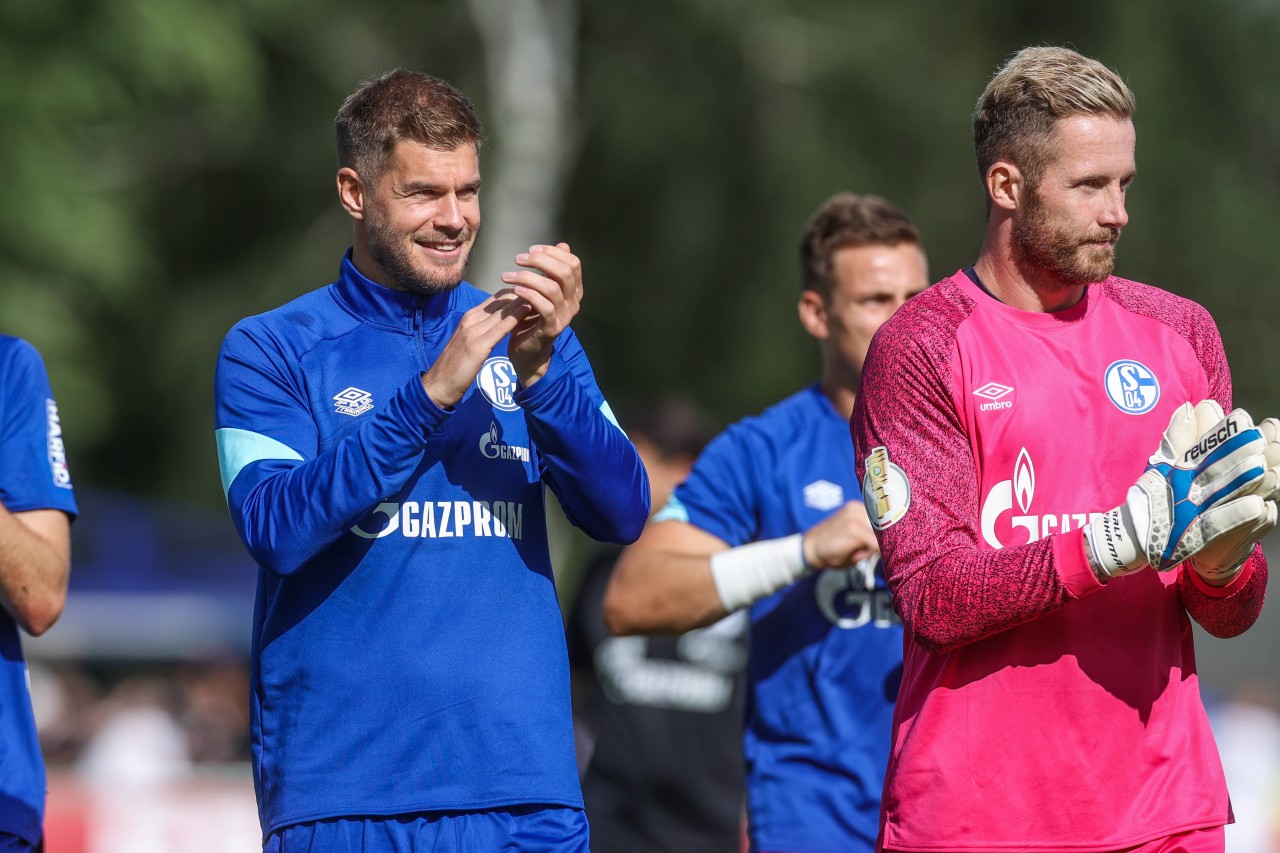 Die Fans des FC Schalke 04 werden das gerne hören.