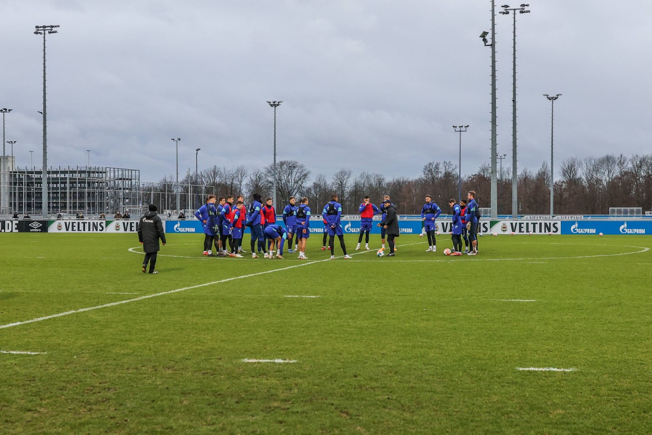 Gute Nachrichten für den FC Schalke 04!