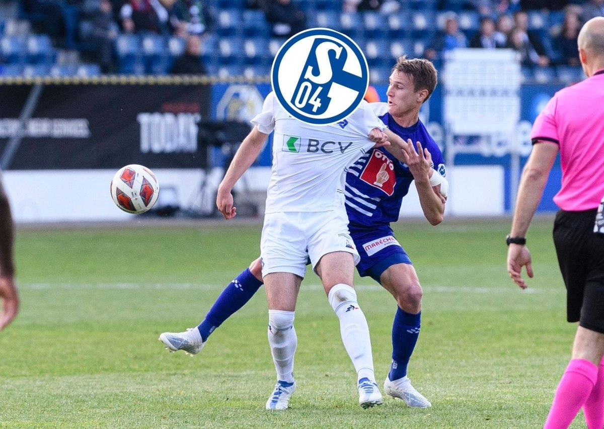 FC Schalke 04.jpg