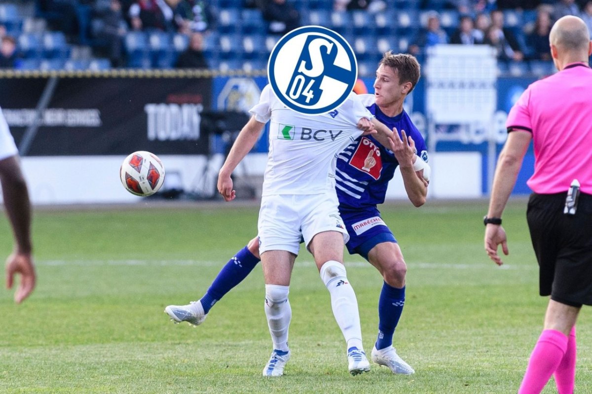 FC Schalke 04.jpg