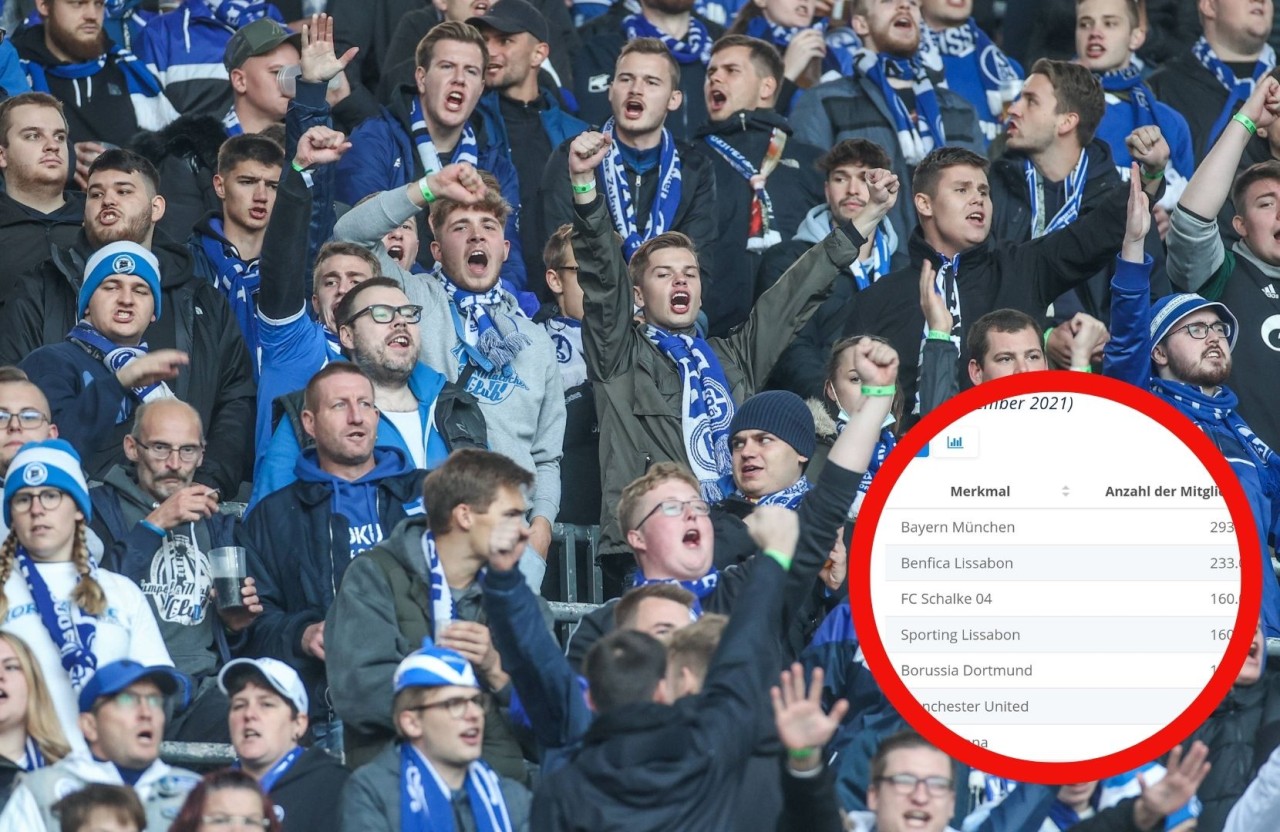 Die Fans des FC Schalke 04 freuen sich über DIESE Liste.