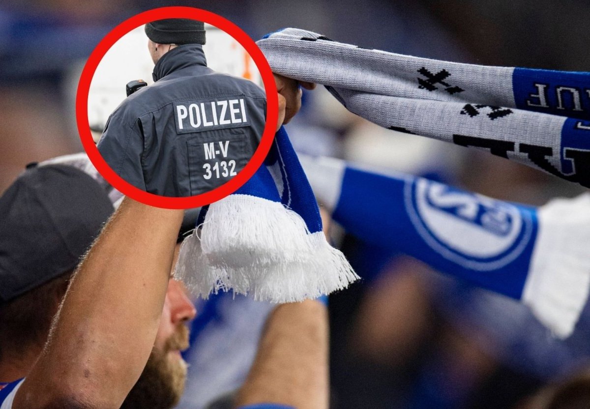 FC Schalke 04 Rostock.jpg